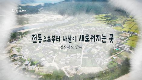 [로컬여행, 오! 정해보고]11회 경상북도 안동시 편